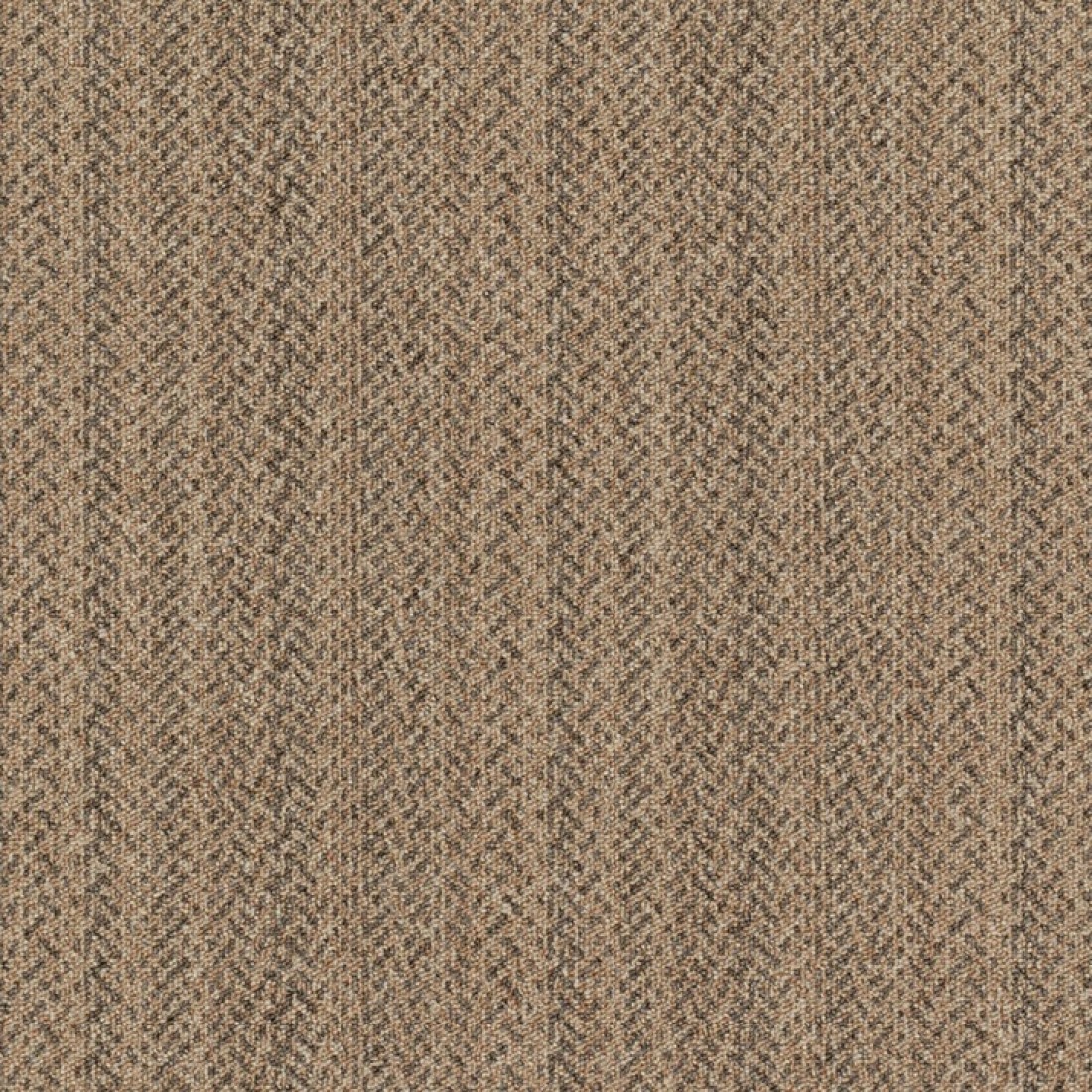 BLURRED EDGE